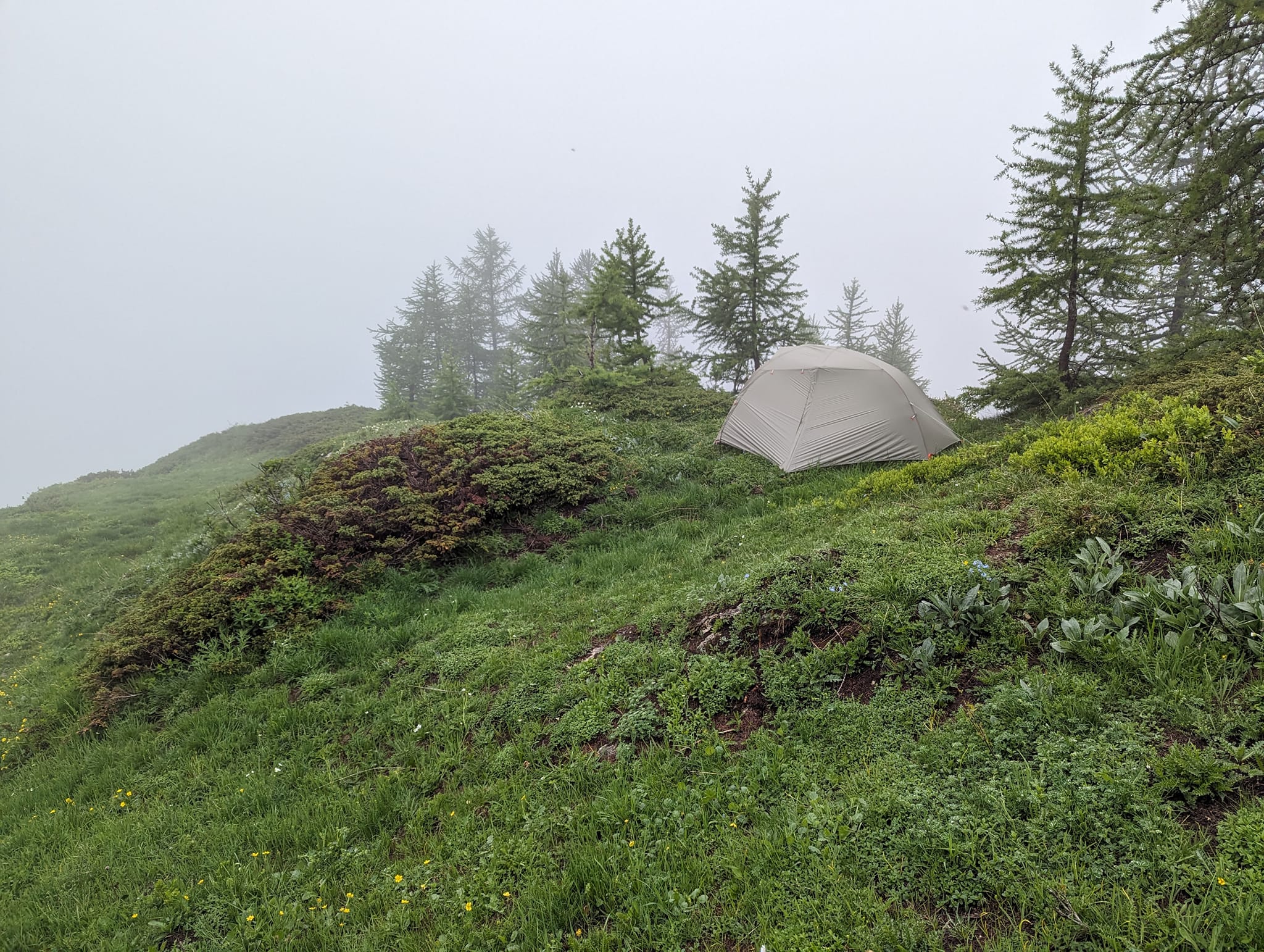 Fant perfekt teltplass - så fornøyd😊