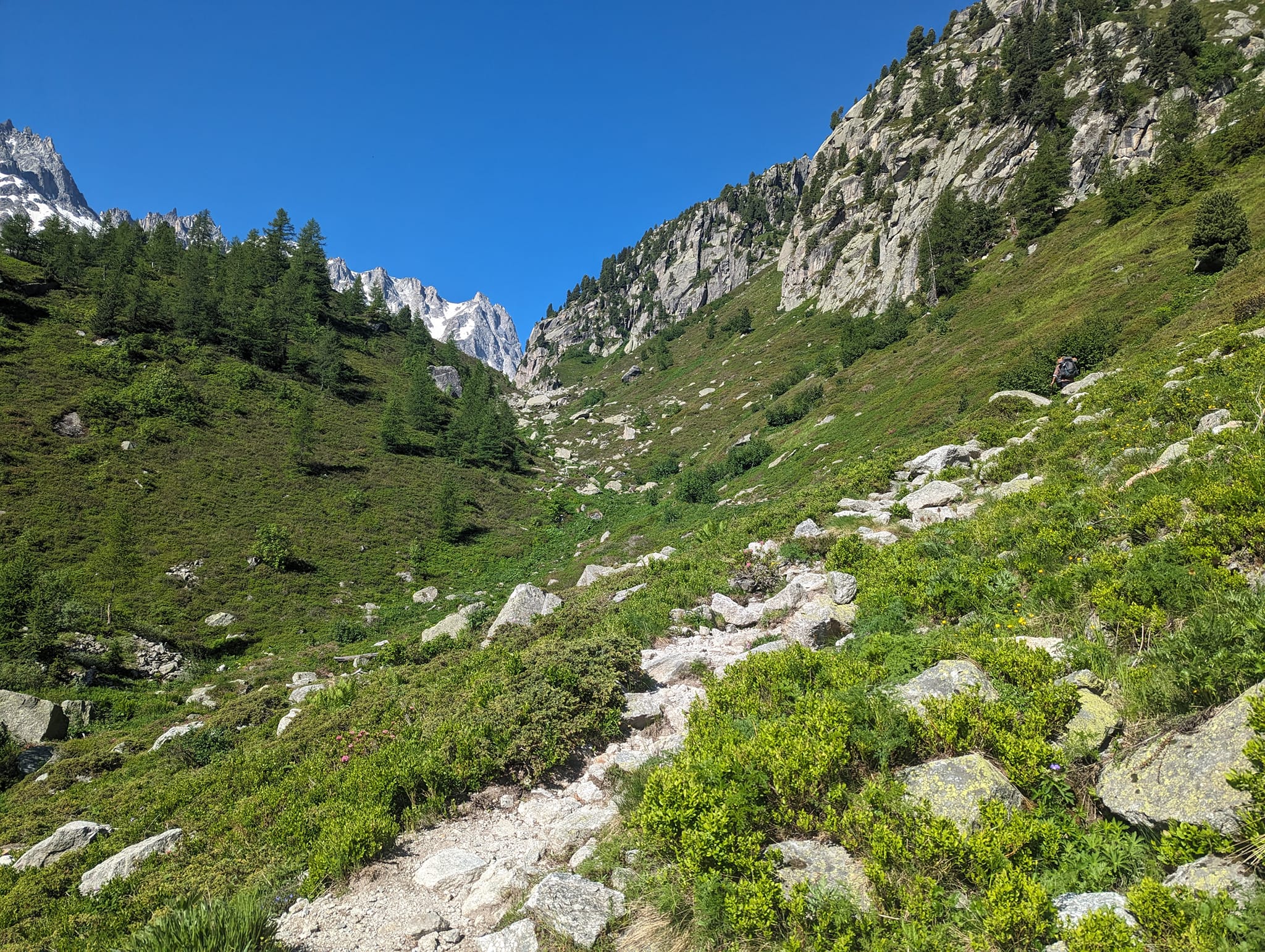 Ut av skogen og fra nå er bare bratt stigning.