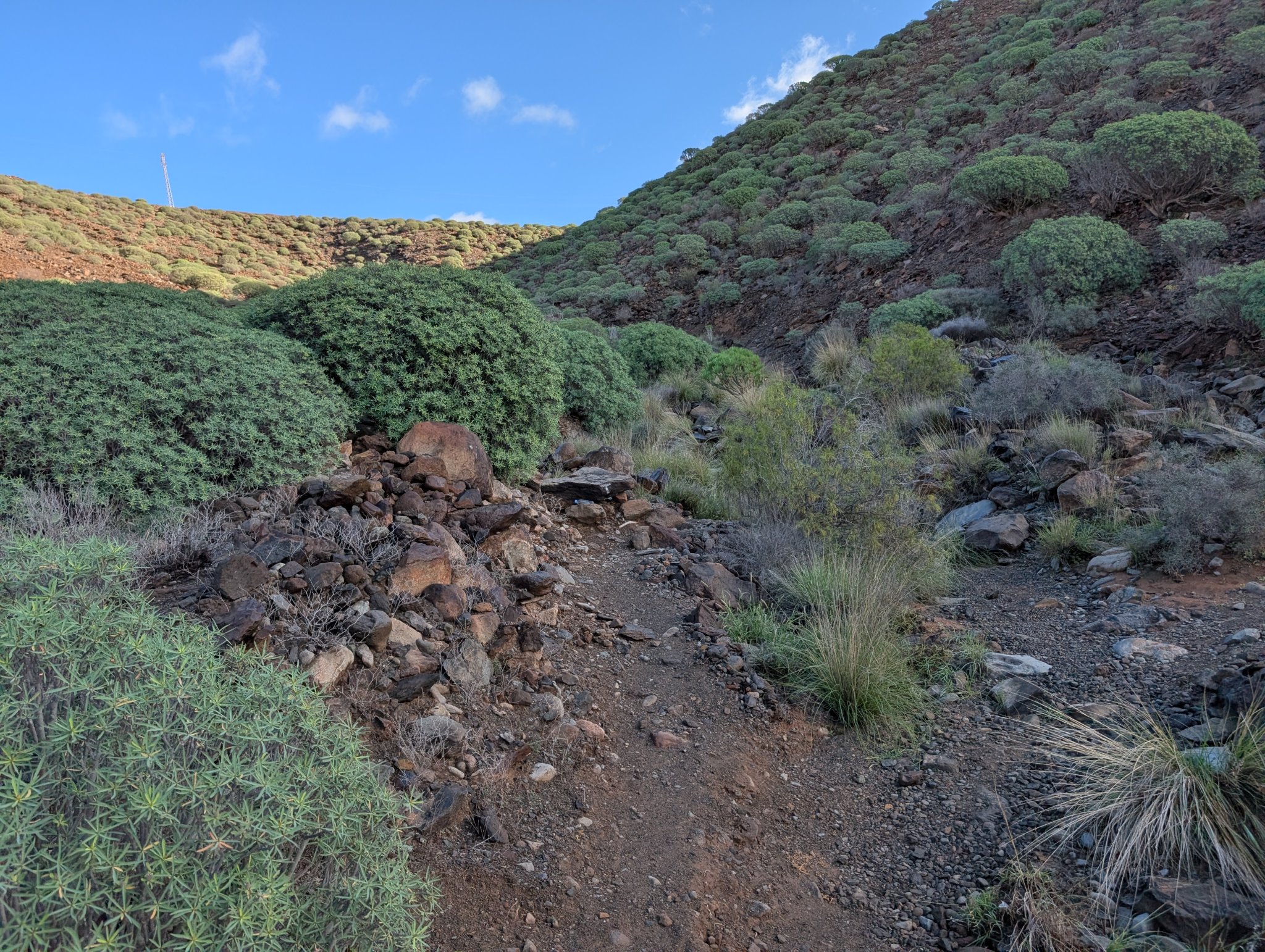 Brattstien opp mot Norskeplassen.