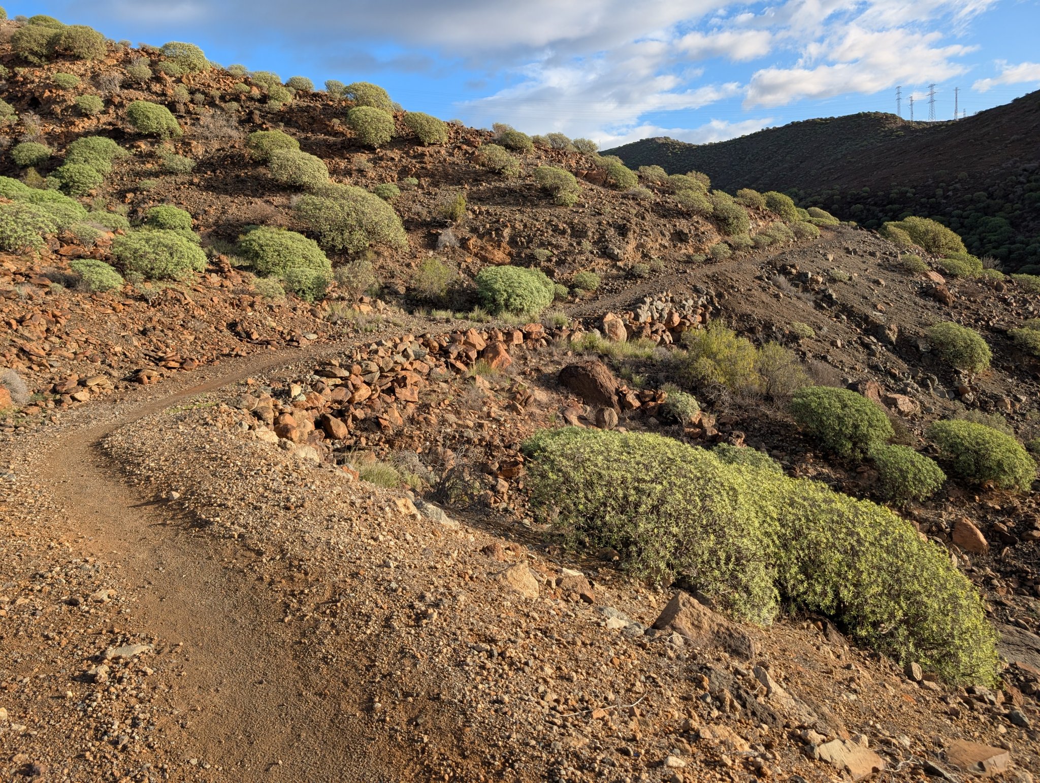 Stien innover dalen.