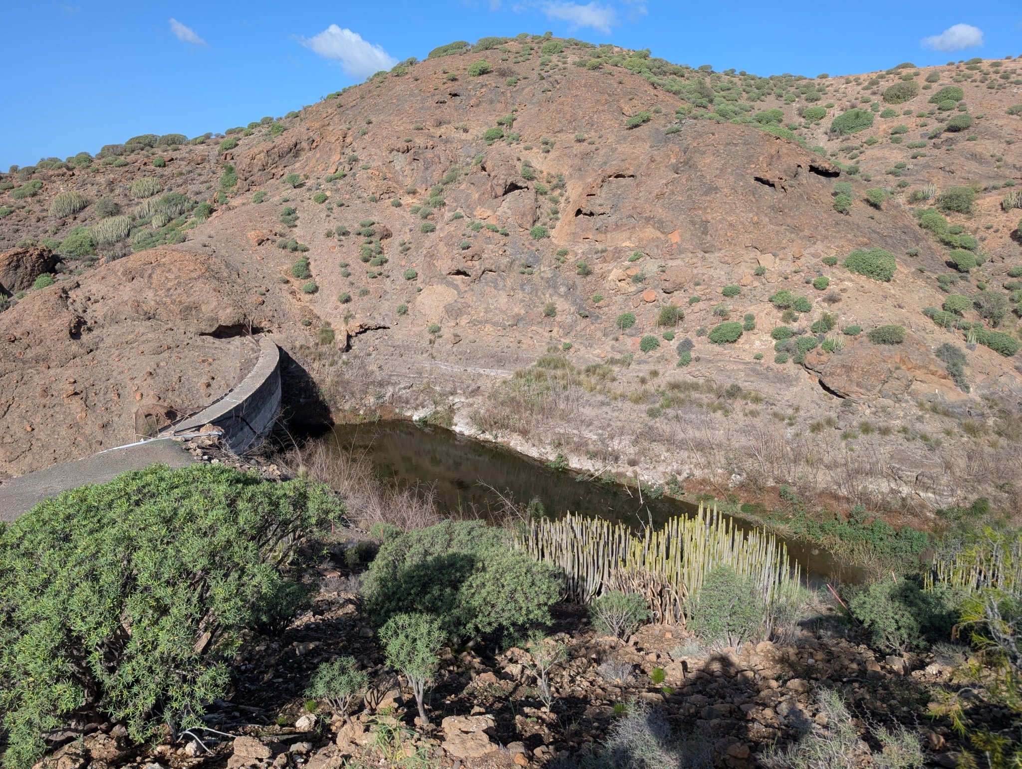 Lite vann i Grønne dammen