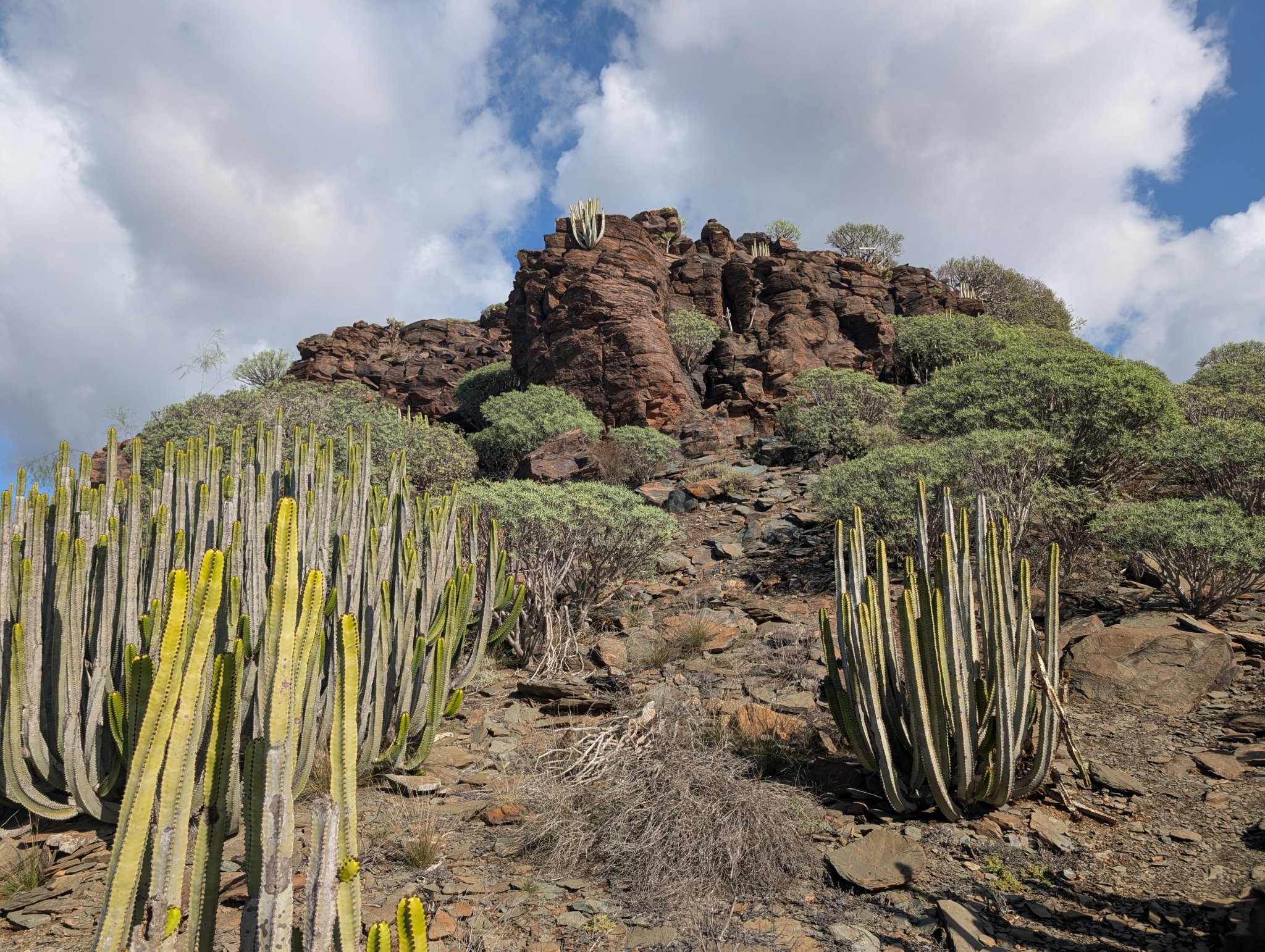 Snart framme ved Eivinds plass 