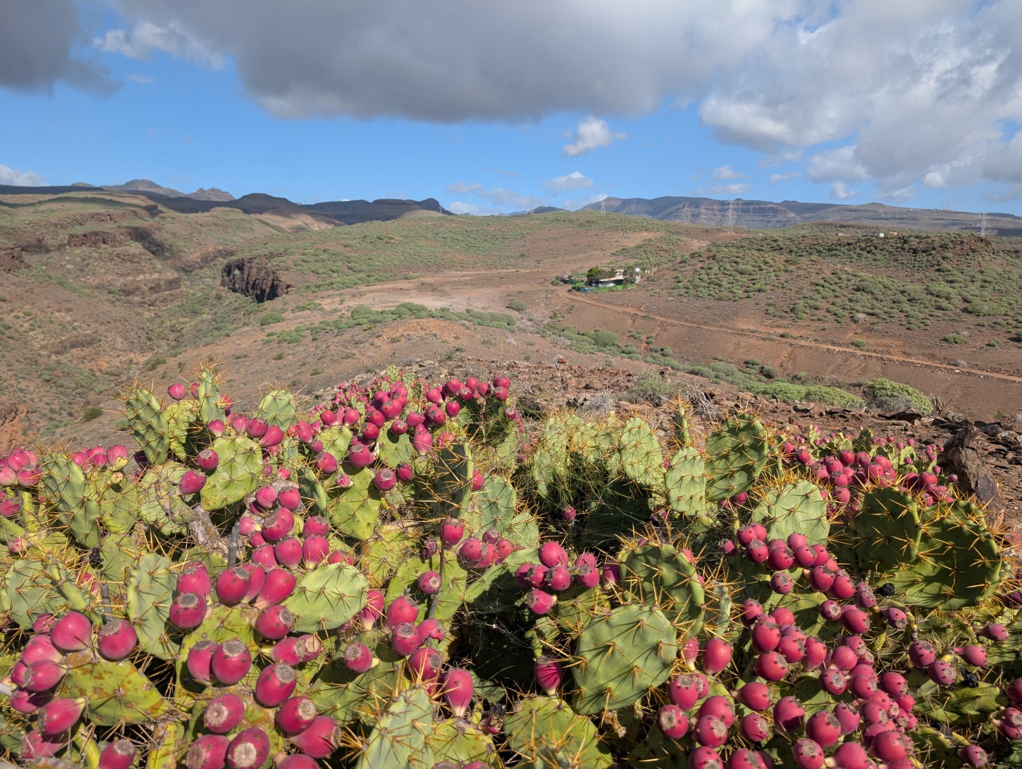Passerer etter hvert Finkaen (gård) som ligger på andre siden av ryggen.