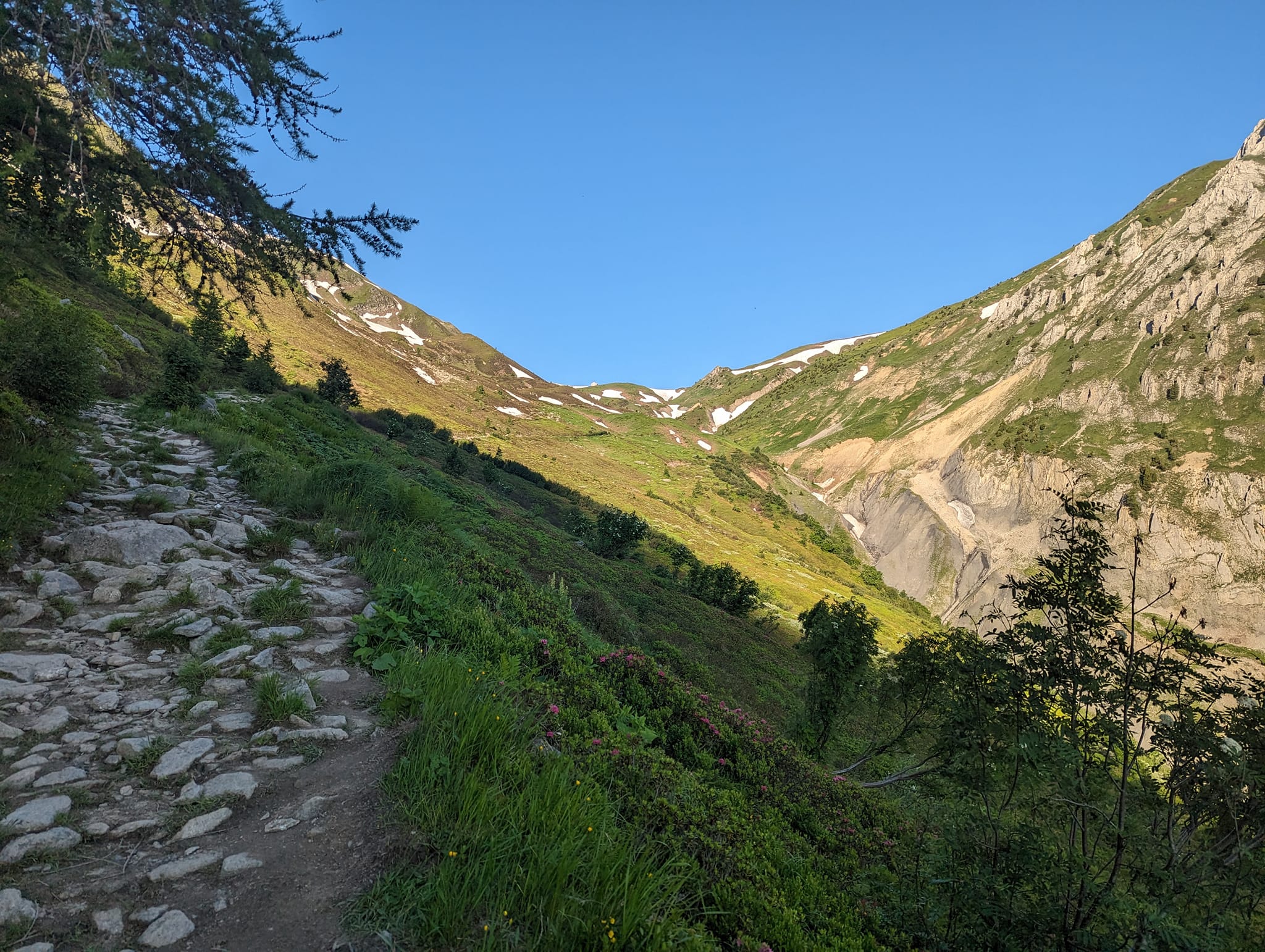 Ute av skogen og Col de Balme i sikte

