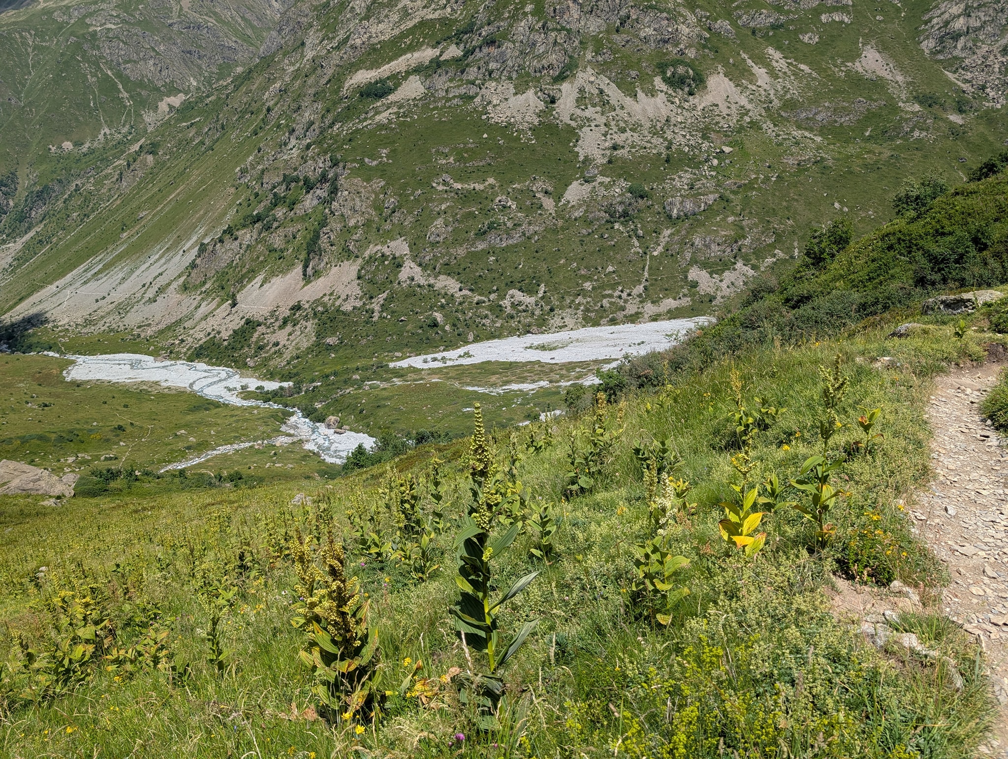 Nesten nede i Séveraisse dalen
