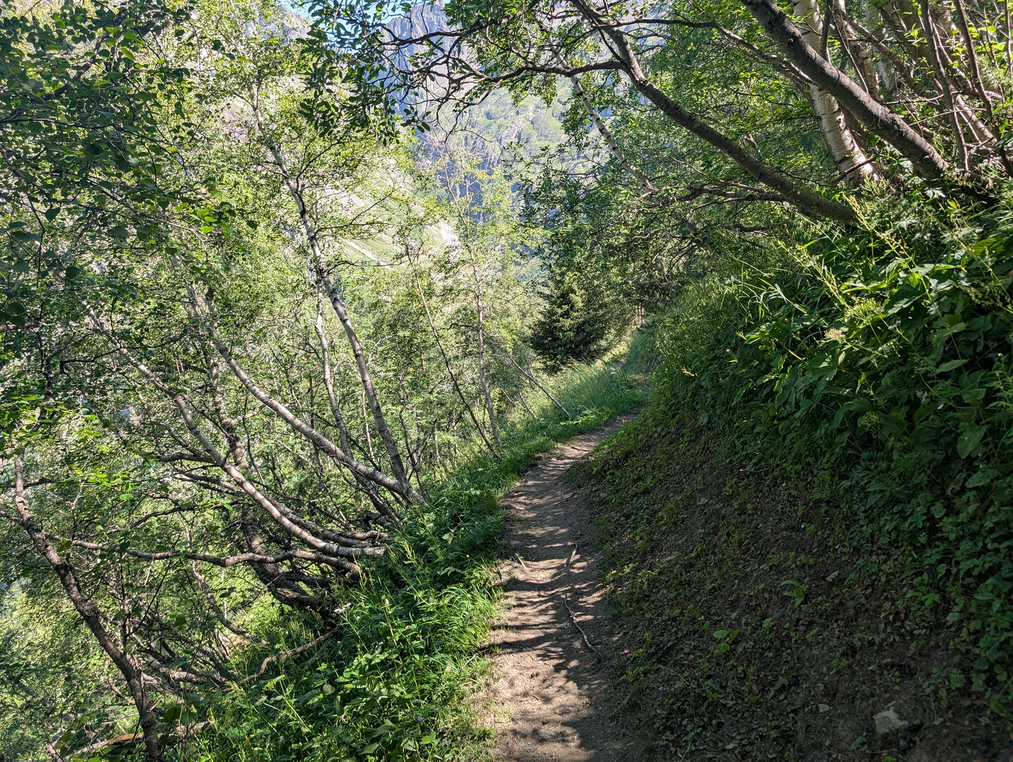Grei sti ned til dalbunnen
