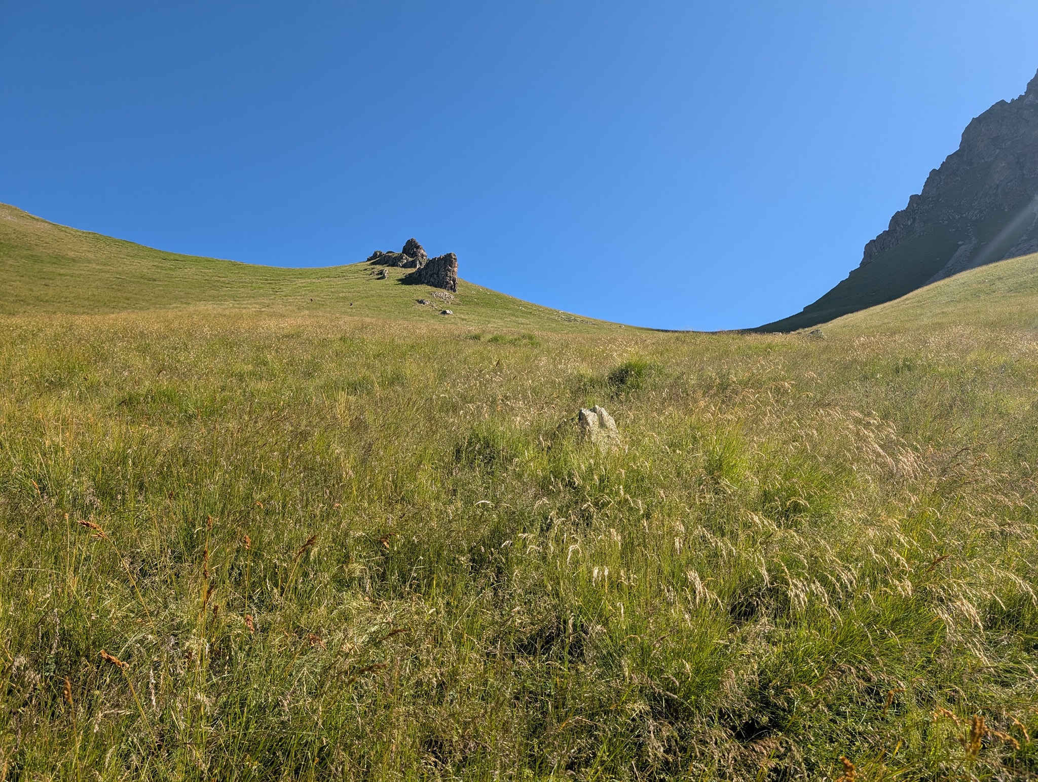 Snart oppe på Col de Côte Belle.
