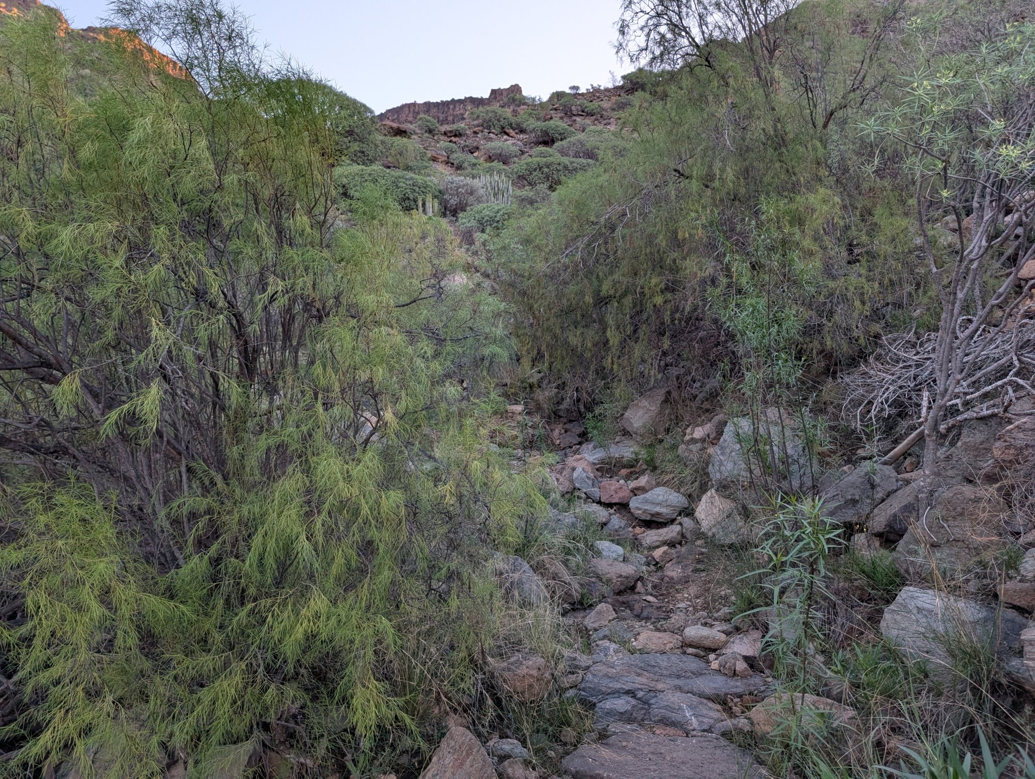 Bratt stigning enkelte steder.